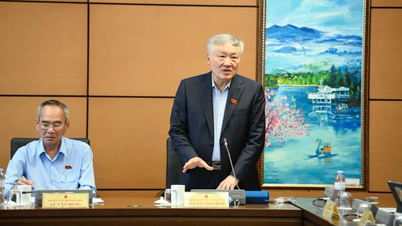 Las universidades que no cumplan con los estándares se fusionarán y se disolverán.