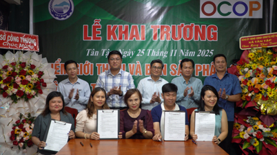 Відкриття торгової точки OCOP у комуні Тан Тап
