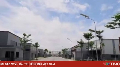 ホーチミン市：成長維持のため外国直接投資（FDI）資本を誘致