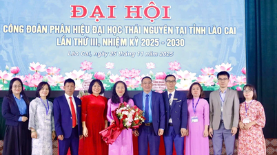 З'їзд профспілки філії Університету Тай Нгуєн у провінції Лаокай пройшов з великим успіхом.