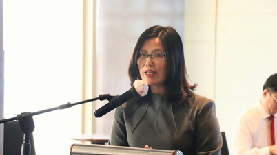 „Gorąca” historia o prawach autorskich i eksploatacji wietnamskiego filmu „dziedzictwo”