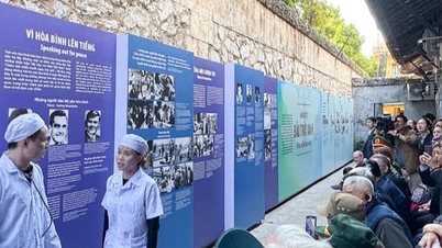 호아로 교도소 유적지에서 열린 '평화를 향한 열망' 전시회