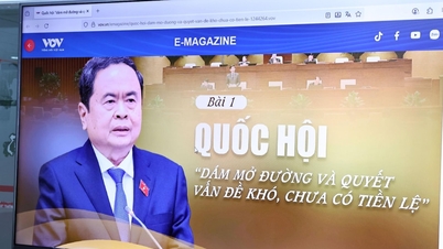 Podkomisja ds. gazet elektronicznych, czwarta nagroda Dien Hong, przeprowadza wstępną ocenę