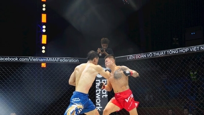 MMA officially included in the competition program at the 2026 National Sports Festival