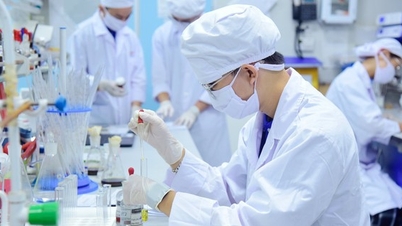 Opportunities for transformation for science and technology enterprises