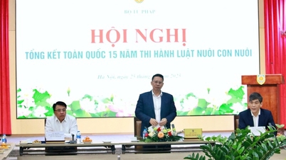 Prawo adopcyjne: Doskonalenie w celu zapewnienia jak najlepszych praw dzieci