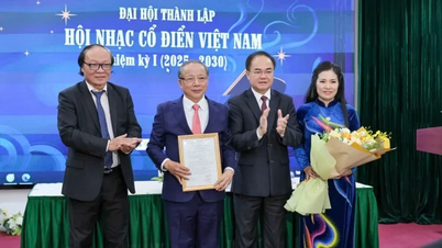 Associação Vietnamita de Música Clássica: Espaço profissional para a música clássica.