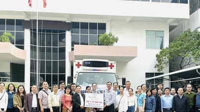 Apoio emergencial para prevenção de epidemias após inundações nas províncias de Gia Lai e Lam Dong.