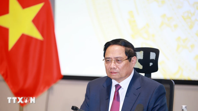 Statsministeren leder det 23. møtet i styringskomiteen for forebygging av UUU-fiske