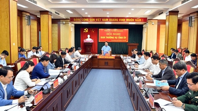 রেজোলিউশনগুলিতে প্রতিটি সংস্থা এবং ইউনিটের লক্ষ্য, কাজ, সমাধান এবং দায়িত্ব স্পষ্টভাবে সংজ্ঞায়িত করা উচিত।