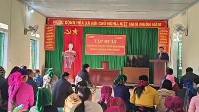 Schulung zur Verbreitung von Wissen über die Anwendung technischer Fortschritte zur Entwicklung einiger typischer landwirtschaftlicher Produkte.