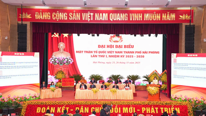 های فونگ نزدیک به ۲ میلیون کشاورز دارد که نیروی محرکه ساخت مناطق روستایی جدید هستند.