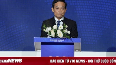 হো চি মিন সিটি একটি আন্তর্জাতিক শহর হয়ে ওঠার লক্ষ্যে কাজ করছে, সচিব ট্রান লু কোয়াং প্রধান চ্যালেঞ্জগুলি তুলে ধরেছেন