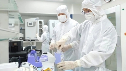 "Pluripotent" cells have the potential to cure many difficult diseases.