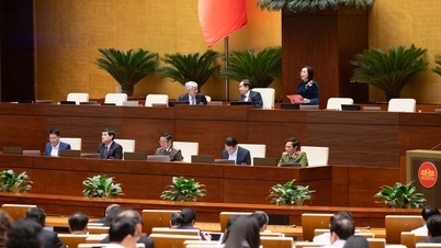 البيان الصحفي رقم 28، الدورة العاشرة، الجمعية الوطنية الخامسة عشرة