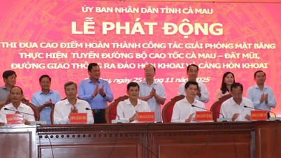 Стремиться передать 100% земли под проект скоростной автомагистрали Камау — Дат Муи к 15 декабря.