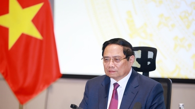 Statsminister Pham Minh Chinh leder det 23. møtet i styringskomiteen for forebygging og kontroll av UUU-fiske.