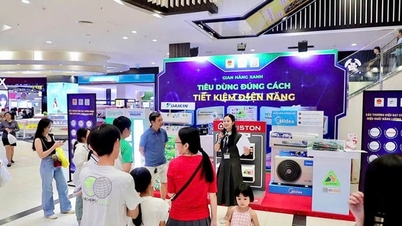 Experiență vizuală la Expoziția de Echipamente de Economisire a Energiei și Transformare Verde din 2025