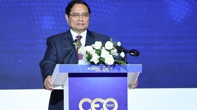 وزیر اعظم: ہو چی منہ شہر کو "ڈیجیٹل دور میں بین الاقوامی میگا سٹی" بنانے کے لیے خود انحصاری اور تعاون دونوں کو فروغ دیا جانا چاہیے۔