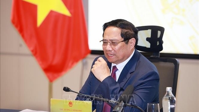 Perdana Menteri Pham Minh Chinh: Bertekad untuk menghapus 'kartu kuning' IUU pada tahun 2025