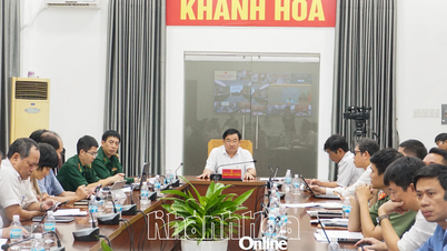 Det 23. møtet i den nasjonale styringskomiteen for IUU