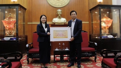 تدعم وزارة الزراعة والبيئة سكان المنطقة الوسطى المتضررين من العواصف والفيضانات.