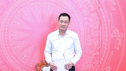 התמקדות בקידום ומשיכת השקעות באזור הסחר החופשי ובמרכז הפיננסי הבינלאומי בדאנאנג