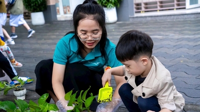 Sistemul educațional Sky-Line lansează proiectul „Semănătorul de semințe verzi”
