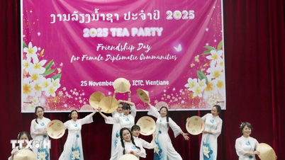 লাওসের আন্তর্জাতিক বন্ধুদের কাছে ভিয়েতনামী সংস্কৃতি প্রচার করা