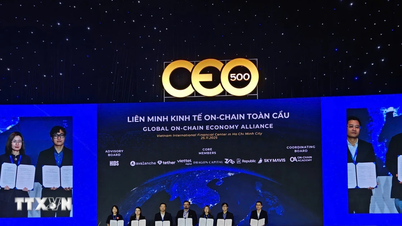 إطلاق تحالف عالمي على السلسلة في مركز التمويل الدولي في فيتنام