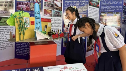 Ho Chi Minh City proposes plan to rearrange schools: From 278 units to 256 units