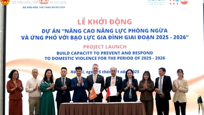 Lancement du projet « Amélioration des capacités de prévention et de réponse à la violence domestique pour la période 2025-2026 »