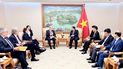 Deputy Prime Minister Nguyen Chi Dung received New Zealand Foreign Minister Winston Peters