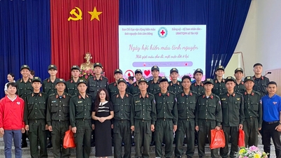 Тан Хой сдал 174 дозы безопасной крови.