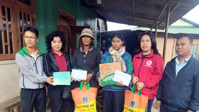 44 миллиона донгов выделено на поддержку семей, погибших и пострадавших в результате наводнений и оползней