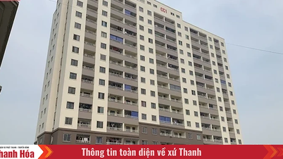 Thanh Hoa zpřísňuje postupy pro podávání žádostí o koupi a prodej sociálního bydlení