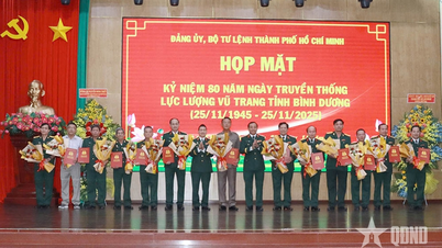 Встреча, посвященная 80-летию традиционного Дня вооруженных сил провинции Биньзыонг