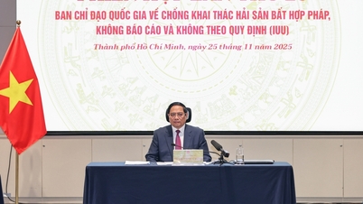 Zrównoważony rozwój wietnamskiego przemysłu rybnego jest pilnym i ważnym zadaniem.