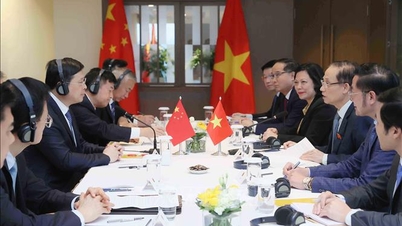 وزیر امور خارجه لی هوای ترونگ با رئیس منطقه خودمختار گوانگشی دیدار و گفتگو کرد.