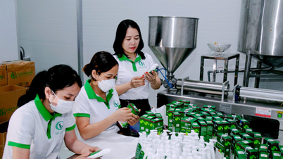 Una base sólida para la trayectoria empresarial de una directora de la tierra de Bach Ngoc