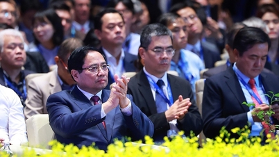 The Prime Minister stated 5 important contents: Vietnam and Ho Chi Minh City need cooperation from international friends.