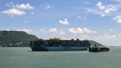 ນະຄອນ​ໂຮ່ຈິ​ມິນ ສຶກສາ​ໂຄງການ​ສ້າງ​ທ່າ​ກຳ​ປັ່ນ​ບົນ​ພື້ນ​ທີ່ 200.000 ຕາ​ແມັດ​ຢູ່​ຄຸ້ມ Phu My