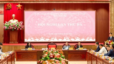 হ্যানয়: কমিউন-স্তরের বাজেটে ব্যক্তি ও পরিবারের জন্য জমি বরাদ্দ এবং জমি ব্যবহারের অধিকার নিলাম থেকে ভূমি ব্যবহার ফি ১০০% প্রদান করা হবে।