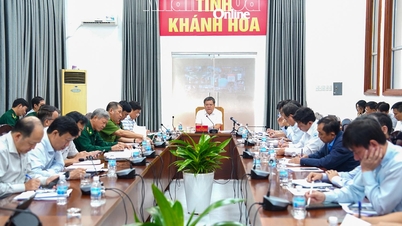 الاستجابة الاستباقية للعاصفة رقم 15