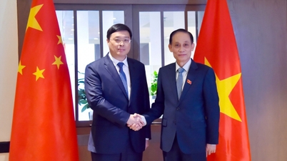 فيتنام - قوانغشي تعززان التجارة الزراعية