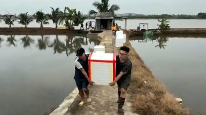 'স্বর্গের আশীর্বাদে' লক্ষ লক্ষ ডং আয় করা
