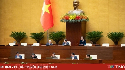 Uyuşturucu Maddelerin Önlenmesi ve Kontrolü Hakkında Kanun Tasarısı (Değiştirilmiş): Gönüllü ve zorunlu uyuşturucu bağımlılığı tedavisine ilişkin düzenlemelerin açıklığa kavuşturulması