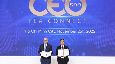 Thị trường tiền số hôm nay, 25-11: TP HCM "bắt tay" sàn tiền số lớn nhất thế giới