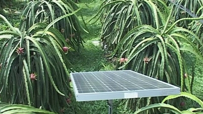 Application de la technologie de l'énergie solaire à l'irrigation goutte à goutte des cultures