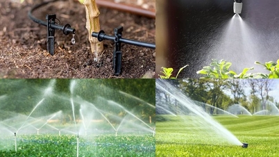 Quand la technologie aide les jardiniers à cultiver avec plus de précision et d'efficacité